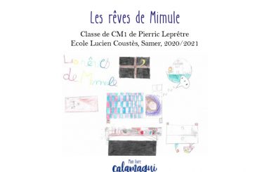 concours les reves de mimule pierric lepretre concours les reves de mimule pierric lepretre
