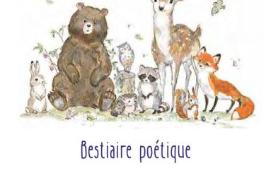 concours bestiaire poetique stephanie alfano concours bestiaire poetique stephanie alfano