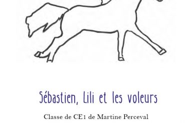 concours sebastien lili et les voleurs martine perceval concours sebastien lili et les voleurs martine perceval