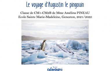concours le voyage d augustin le pingouin mme pineau