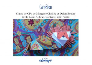 concours camelion mme cholley