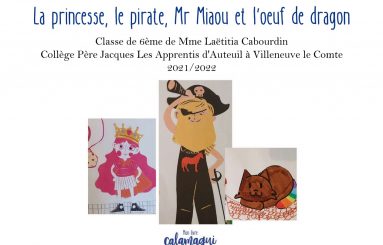 concours la princesse le pirate mr miaou mme cabourdin