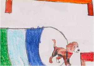 concours teo et nina au concours canin mme laadjel