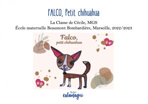 concours falco petit chihuahua mme bistondi