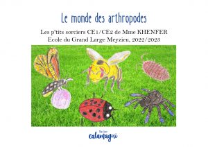 concours le monde des arthropodes mme khenfer