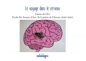 concours le voyage dans le cerveau mme clenet