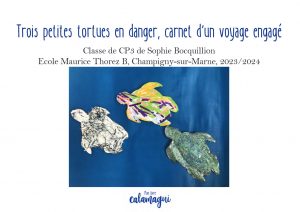concours 24 trois petites tortues en danger sophie bocquillion