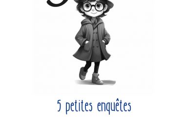 concours 24 5 petites enquetes