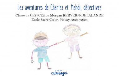 concours 24 les aventures de charles et mehdi detectives