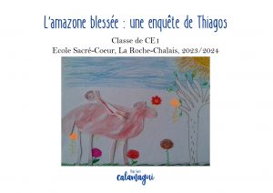 concours 24 l amazone blessee