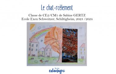 concours 24 ndash le chat rcelement