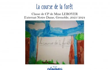 concours 24 la course de la foret