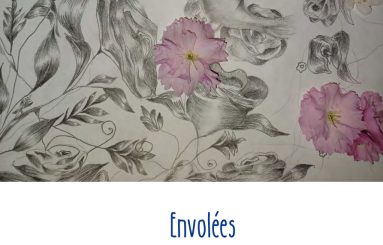 concours 24 envolees