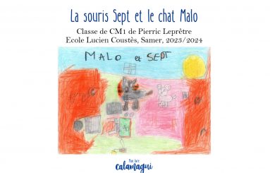 concours 24 la souris sept et le chat malo