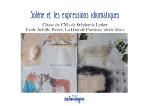 concours 24 ndash solene et les expressions idiomatiques