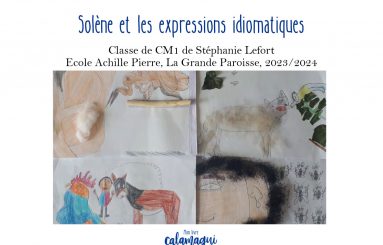 concours 24 ndash solene et les expressions idiomatiques