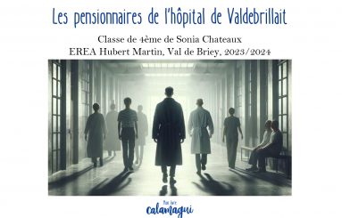 concours 24 les pensionnaires de l rsquo hopital de valdebrillait