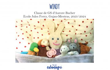 concours 24 ndash windy