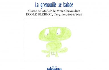 la grenouille se balade mme chavaudret