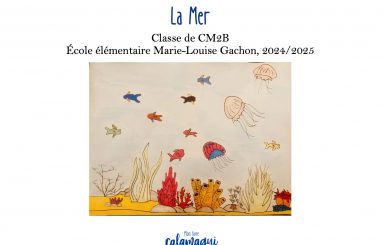 la mer ecole marie louise gachon