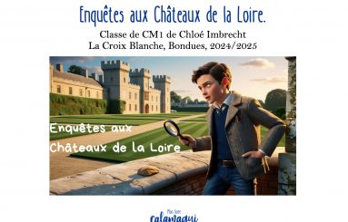 enquetes aux chateaux de la loire 1 mme imbrecht
