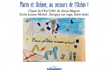 marin et oceane au secours de l ocean mme mignot