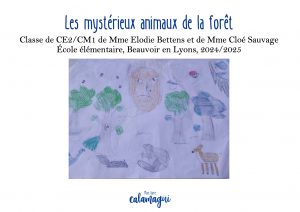 les mysterieux animaux de la foret mme sauvage