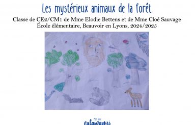 les mysterieux animaux de la foret mme sauvage