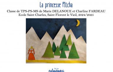 la princesse pitcha mmes delanoue et fardeau