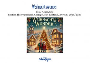 weihnachtswunder college jean rostand