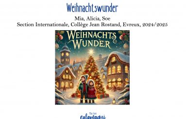 weihnachtswunder college jean rostand