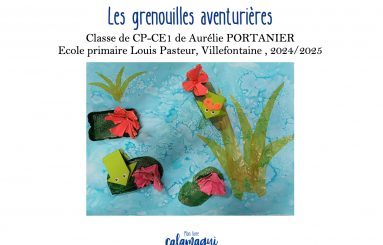 les grenouilles aventurieres mme portanier