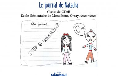 le journal de natacha mme zanella