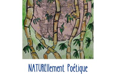 naturellement poe tique mme fadli