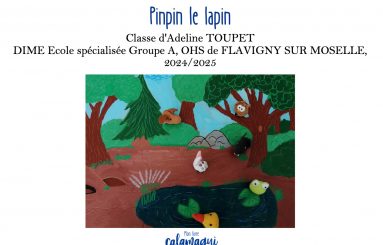 pinpin le lapin mme toupet