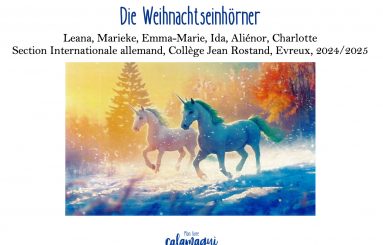 die weihnachtseinhorner college jean rostand
