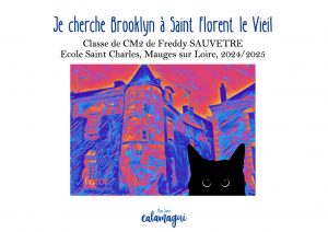 je cherche brooklyn a saint florent le vieil m sauvetre