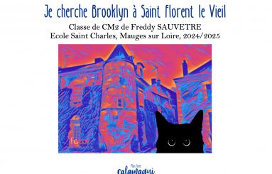 je cherche brooklyn a saint florent le vieil m sauvetre